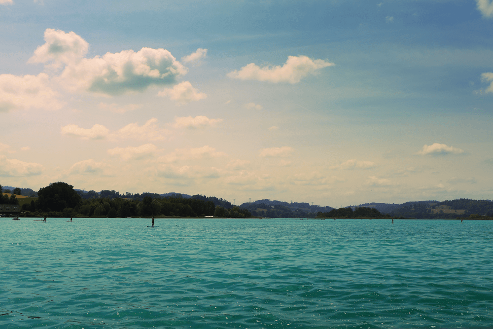 Wide view of a lake with paddleboarders