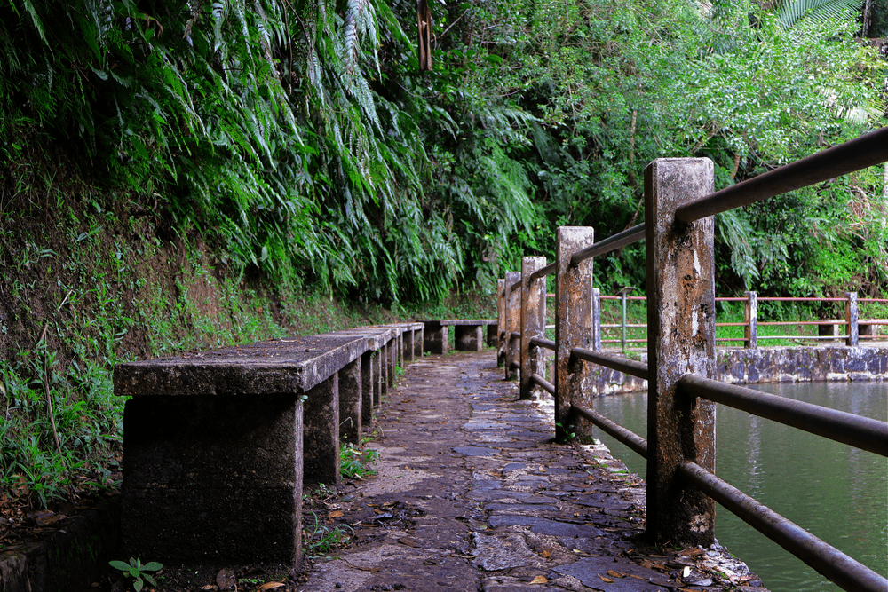 Stone path with railing beside a forest reservoir