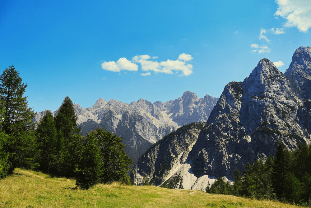 Jagged limestone peaks of the Julian Alps seen from a meadow near Vršič Pass